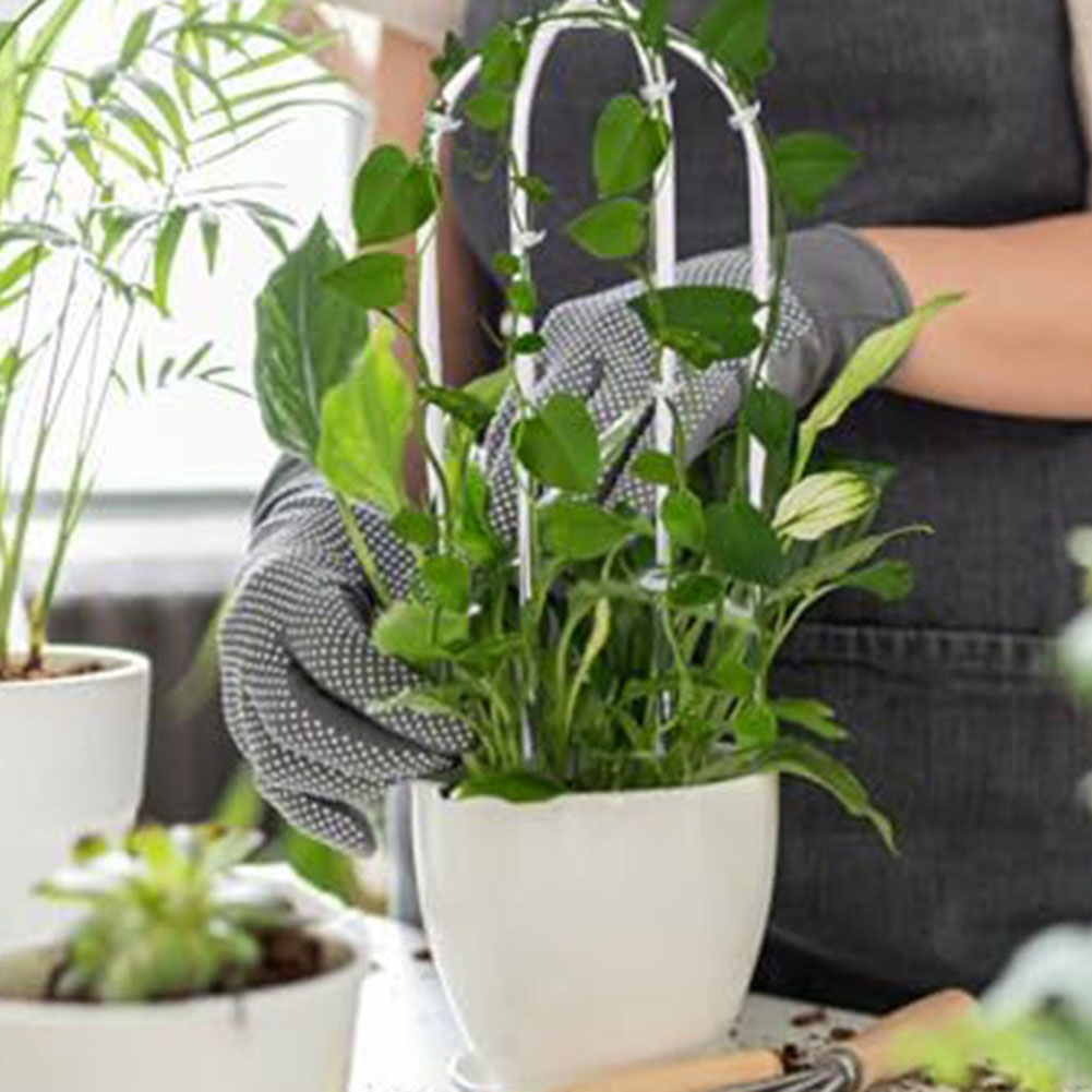 2pcs Acrylic U-shaped Plant Ra - Indoor Herb Garden recension och pris