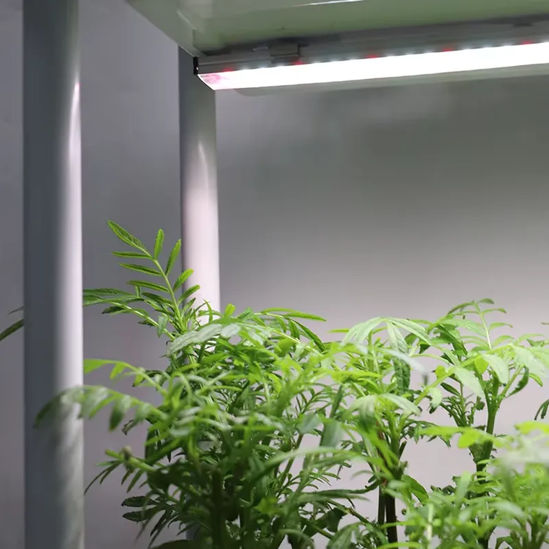 Movable Vertical Grow 3 Level  - Vertical Planter recension och pris