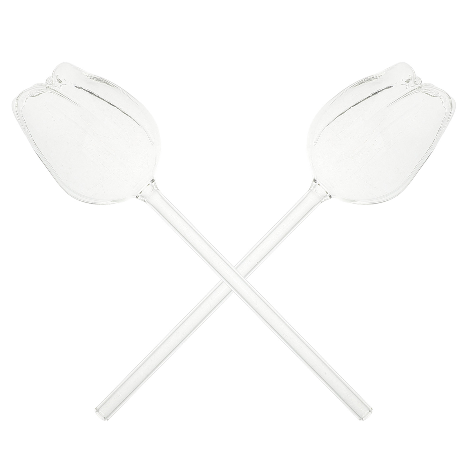 2Pcs Premium High Borosilicate - Self Watering Planter recension och pris
