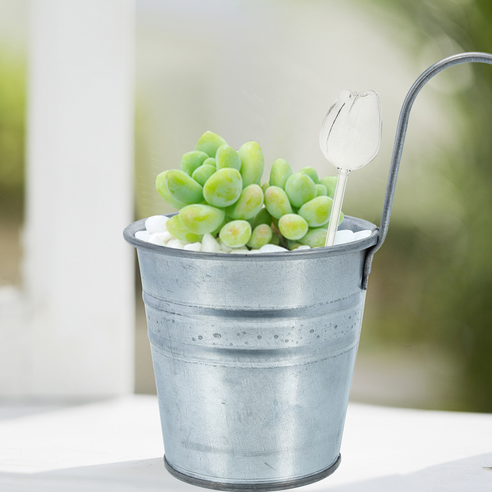 2Pcs Premium High Borosilicate - Self Watering Planter recension och pris