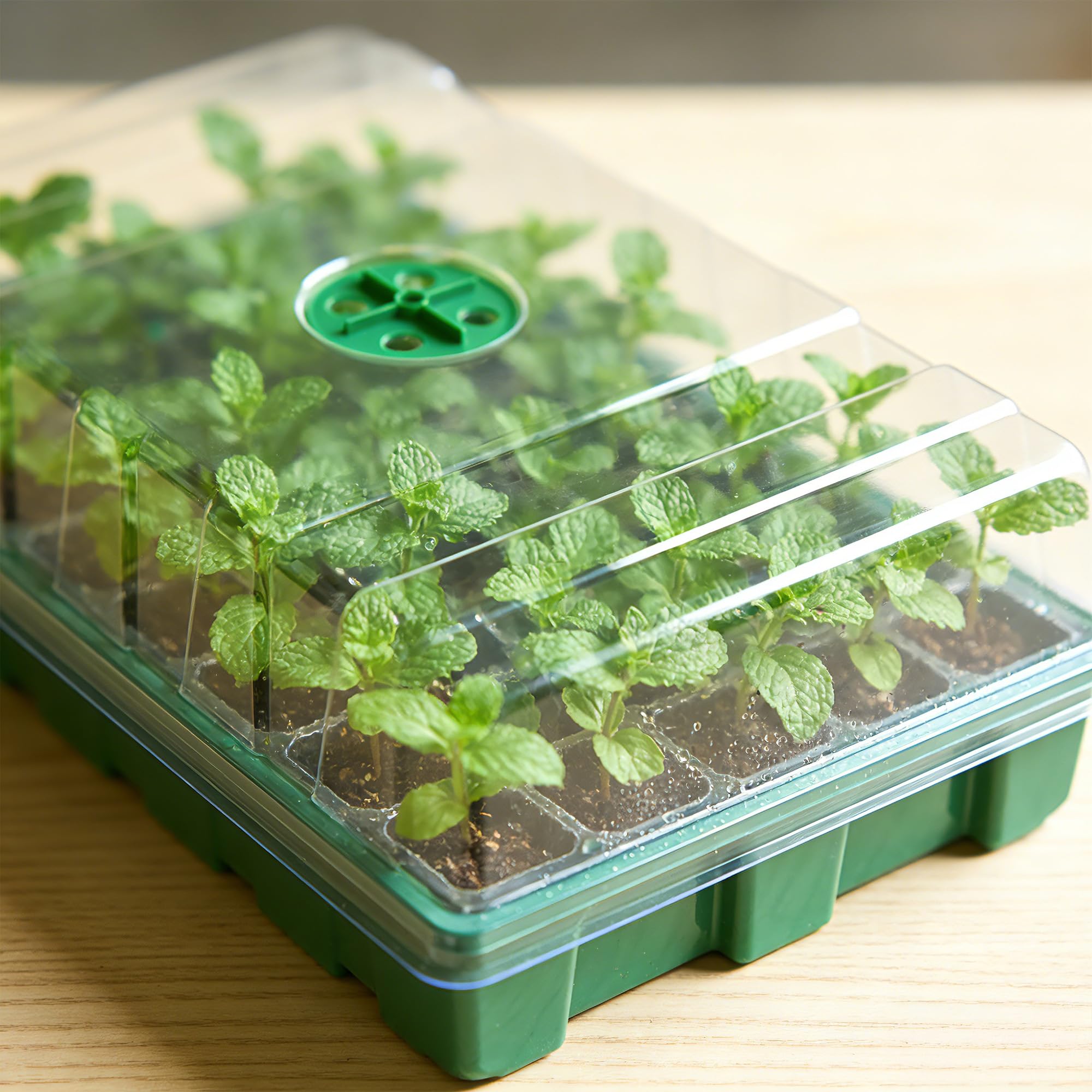 With Transparent Cover Greenho - Seed Starter Tray recension och pris