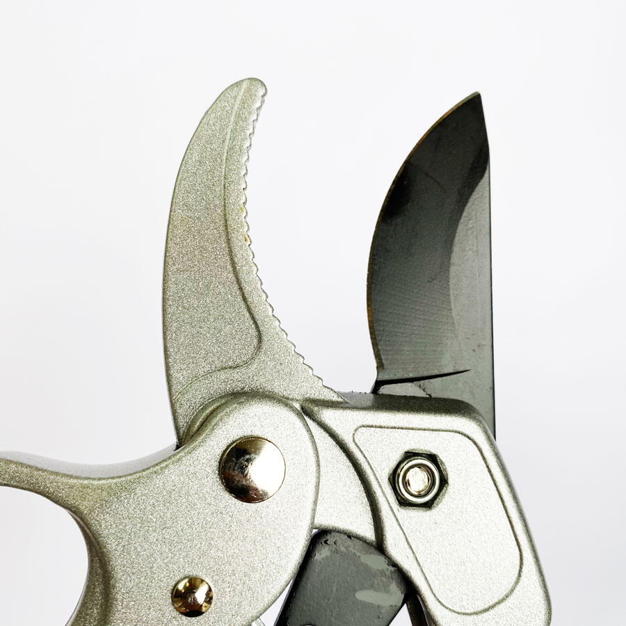 Professional Ratchet Pruning S - Pruning Shears recension och pris