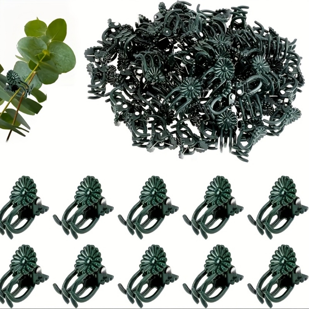 100 Pieces of Orchid and Vine  - Indoor Herb Garden recension och pris