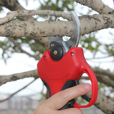 High-Quality Non-Slip Handle G - Pruning Shears recension och pris