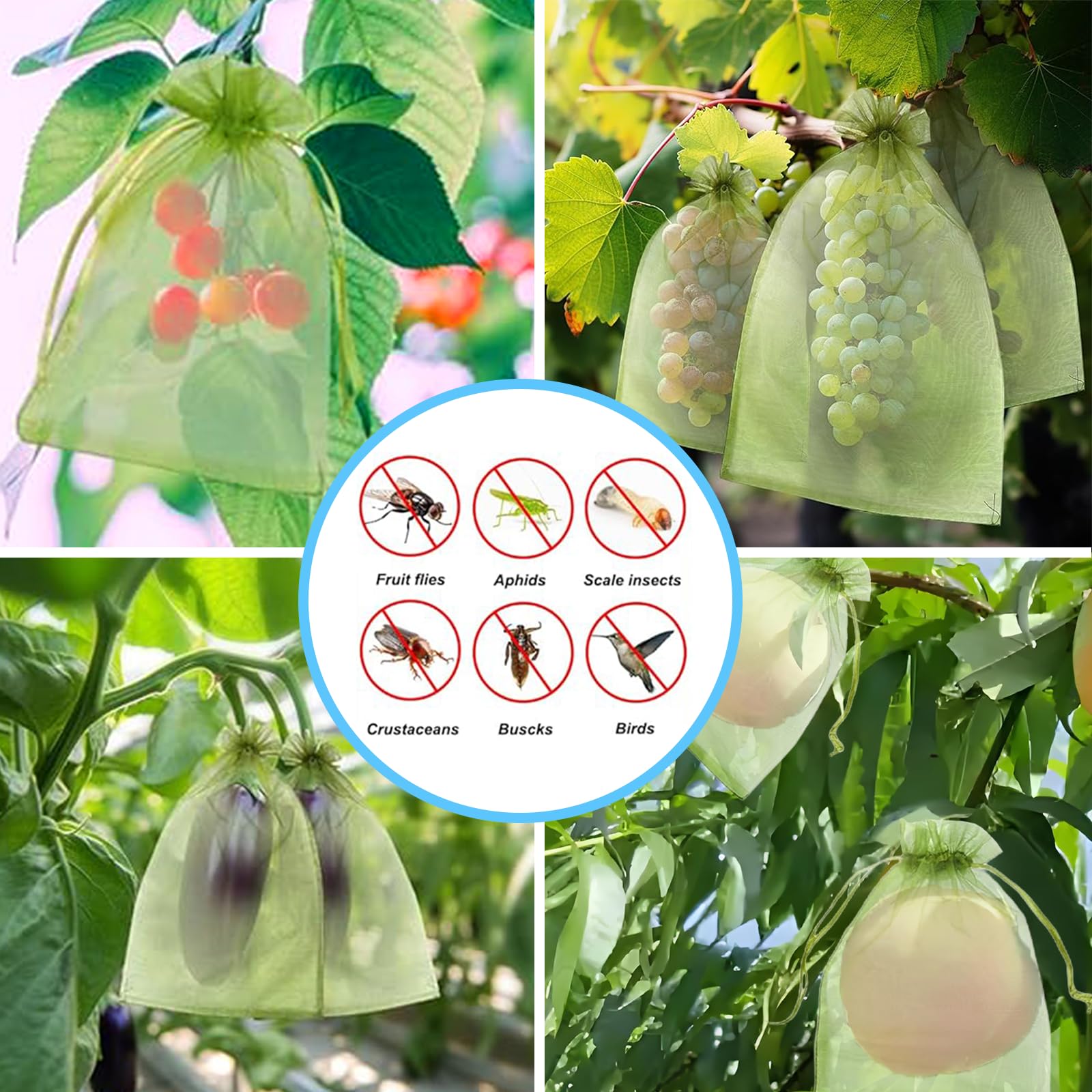 Effective Anti-Bird Netting Fr - Grow Bag recension och pris