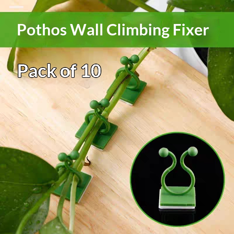 Self‑Adhesive Plant Climbing W - Indoor Herb Garden recension och pris