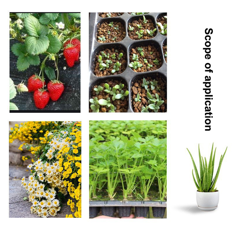 Hot 10Pcs Seedling Trays Plast - Seed Starter Tray recension och pris