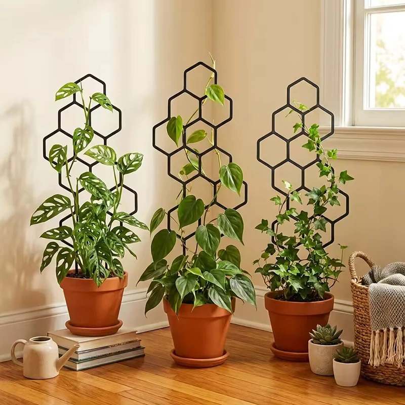 2/4pcs Honeycomb Design Plant  - Indoor Herb Garden recension och pris