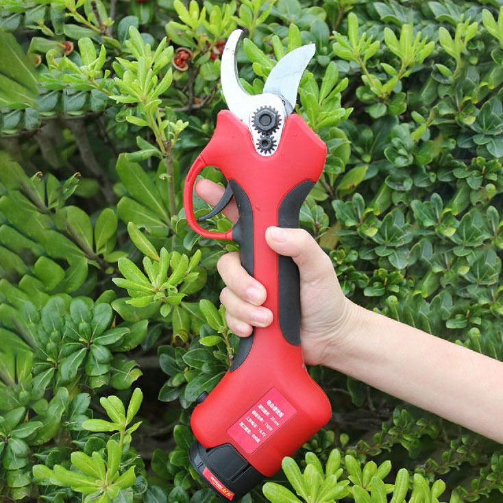 25-40mm Cutting Orchard Vineya - Pruning Shears recension och pris