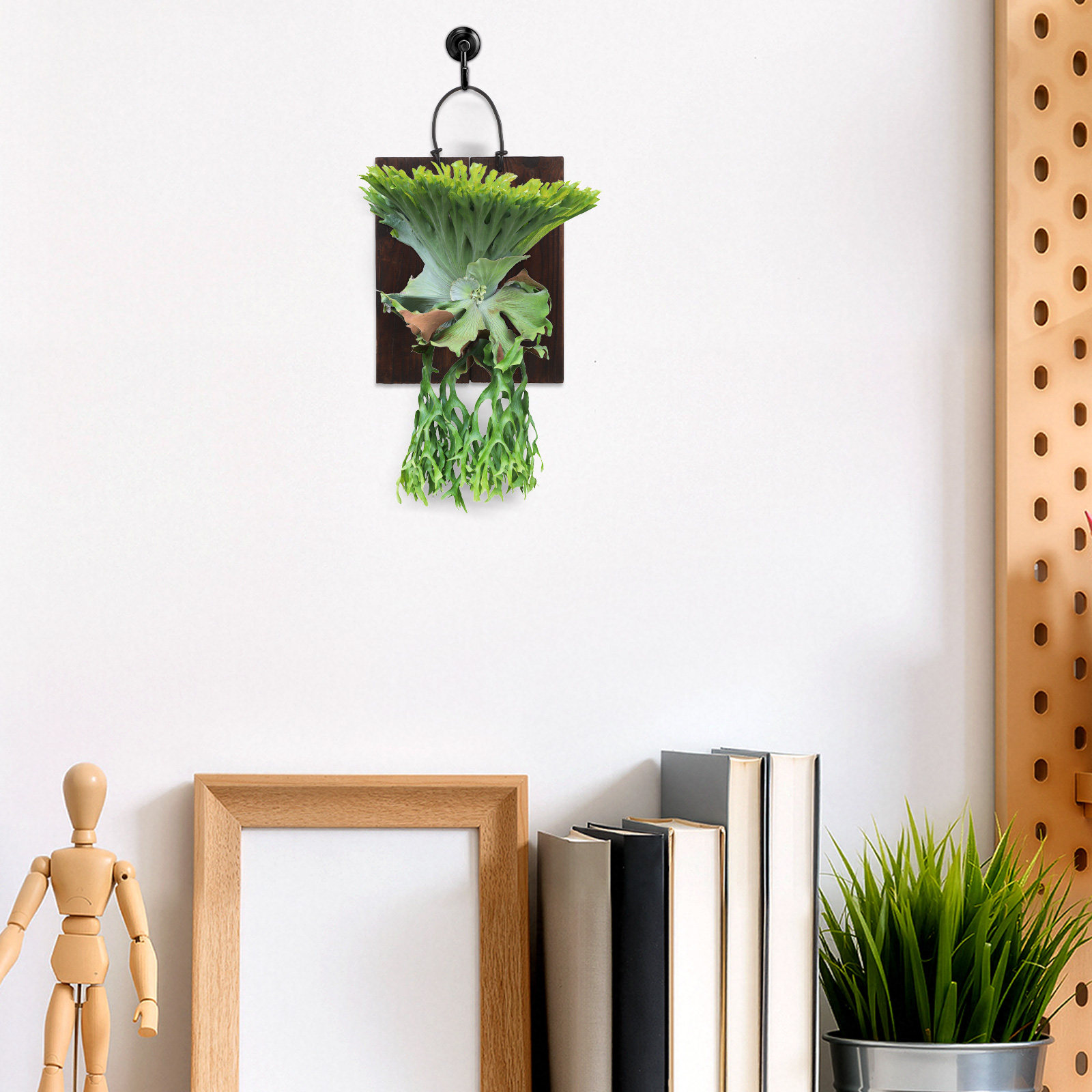 Staghorn Fern Mounting Board V - Vertical Planter recension och pris